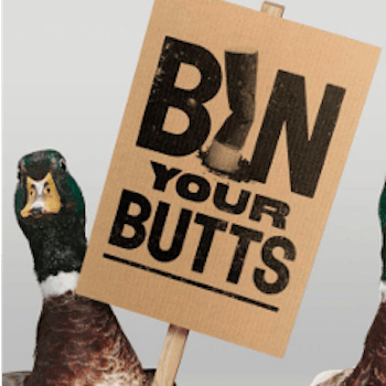 A Bin Your Butts campaign sign flanked by two ducks
